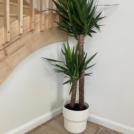 L Appartement Sete Magnifique Duplex Climatise Buitenkant foto
